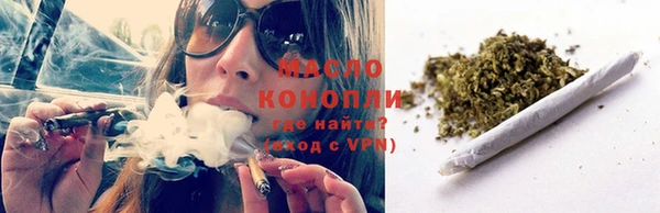 шишки Кодинск
