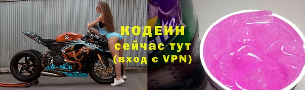 шишки Кодинск