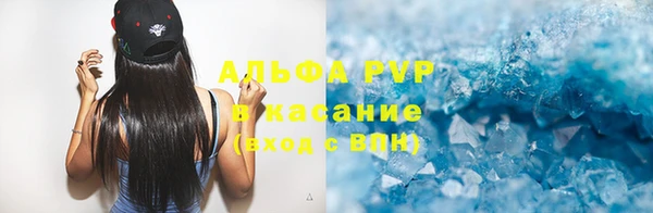 шишки Кодинск