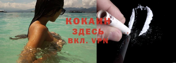 шишки Кодинск
