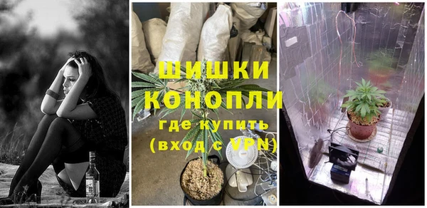 шишки Кодинск