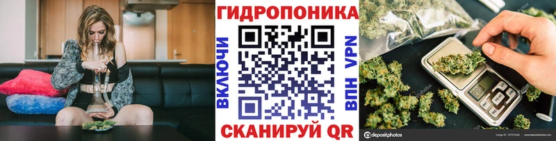 кракен ТОР  Слюдянка  Бошки марихуана индика 